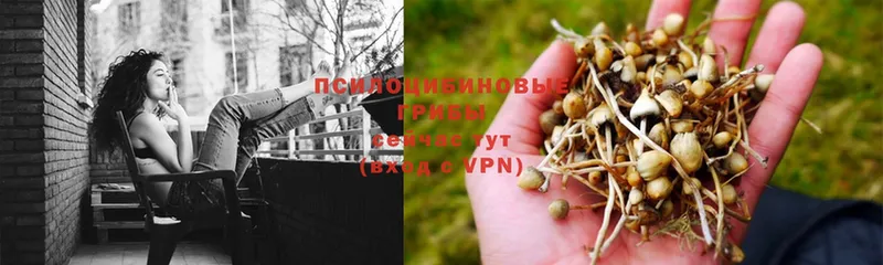 Псилоцибиновые грибы MAGIC MUSHROOMS  Улан-Удэ 